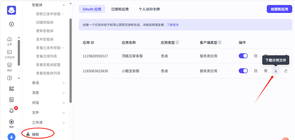扣子智能体、秘钥申请(图6)